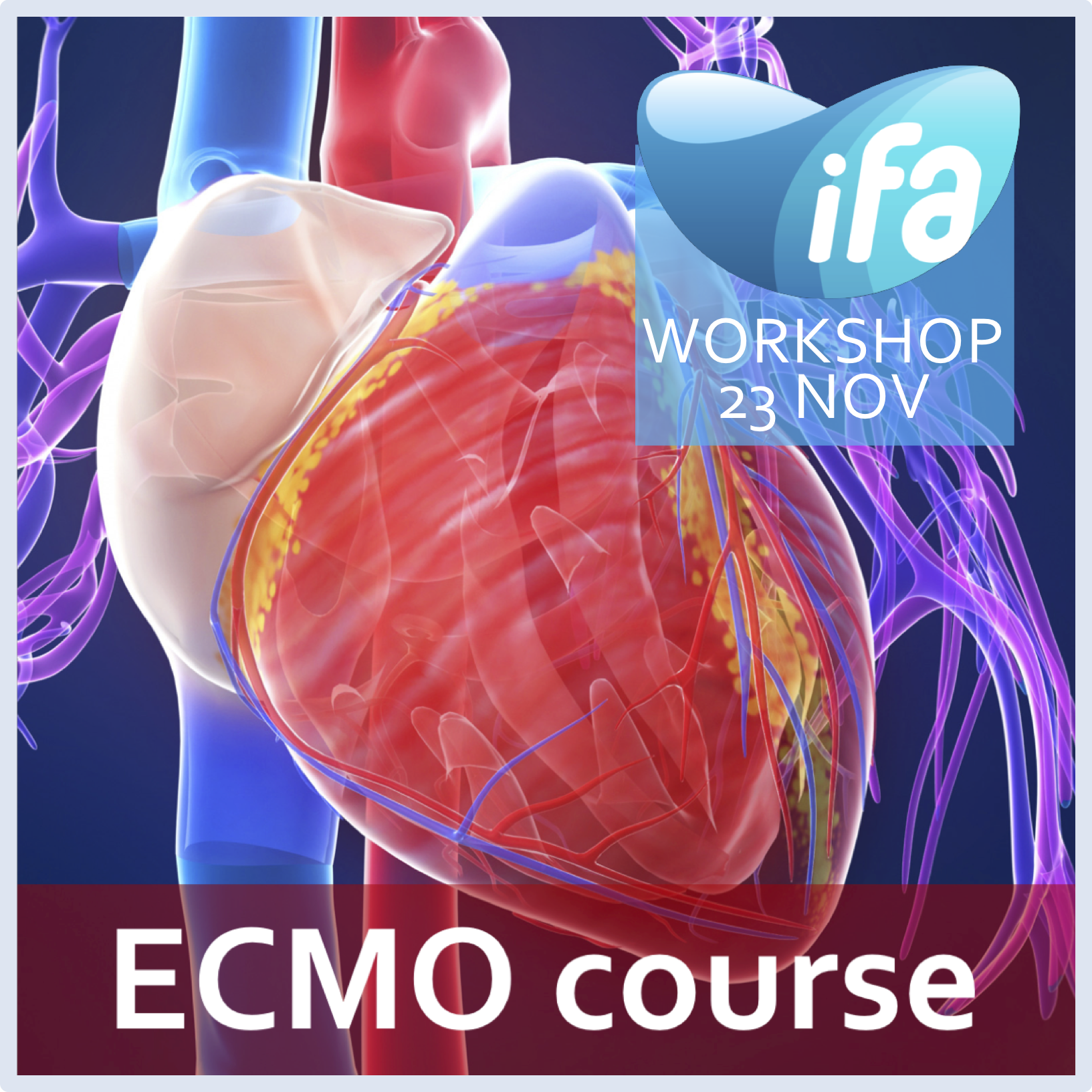 4th BEACH Course (BElgian Annual eCmo Hands-on)
