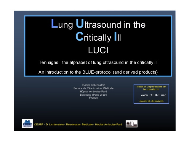 Lung Ultrasound in the Critically Ill LUCI